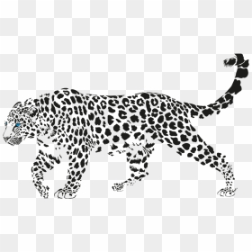 Jaguar Walking Png Pic - Panther In Udaipur City Palace, Transparent Png - walking png