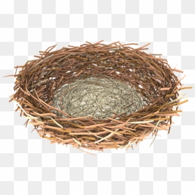 Empty Nest Clip Art, HD Png Download - nest png
