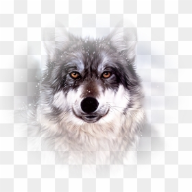 Mooi Wolf Face, Wildlife Paintings, White Wolf, Gray - Wolf Face, HD Png Download - wolf face png