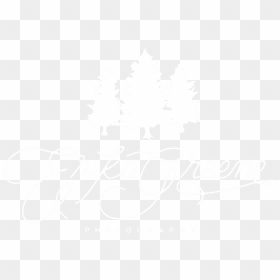 Egp White - Calligraphy, HD Png Download - photography png
