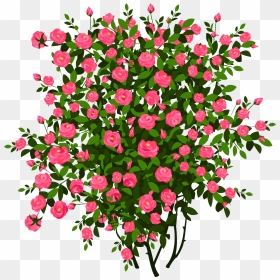 Bushes Clipart Transparent Flower, Bushes Transparent - Flower Bush Clip Art, HD Png Download - shrubs png