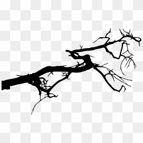 Silhouette, HD Png Download - tree branches png