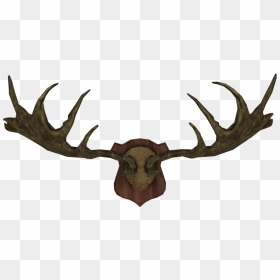 Forsworn Headdress Elder Scrolls Fandom - Antlers Moose Image Transparent, HD Png Download - antlers png