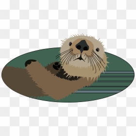 Sea Otter Clip Arts - Sea Otter Clipart, HD Png Download - otter png