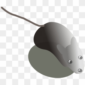 Technology,computer Icons,computer Mouse - Computer Mouse, HD Png Download - computer mouse png