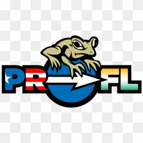Floridians And Puerto Ricans, HD Png Download - puerto rico png