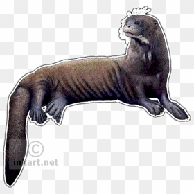 Giant River Otter Decal - Realistic Giant River Otter Drawing, HD Png Download - otter png
