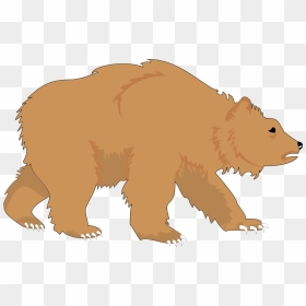 Grizzly Bear Bear Clip Art Grizzly Clipart For You - Animals With Fur Clipart, HD Png Download - grizzly bear png