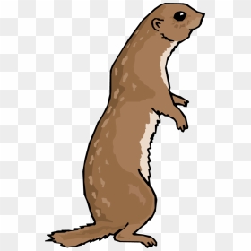 Otter Png File - Prairie Dog Clipart, Transparent Png - otter png