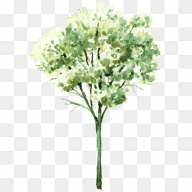 Transparent Shrubs Png - Trees Water Color Png, Png Download - shrubs png