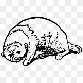 Otter Clip Arts - Otters, HD Png Download - otter png