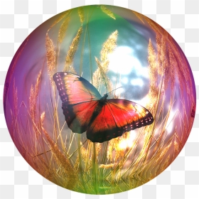 Butterfly In A Bubble, HD Png Download - soap bubbles png