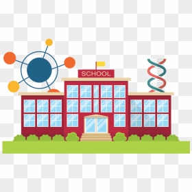 School Growth, HD Png Download - growth png