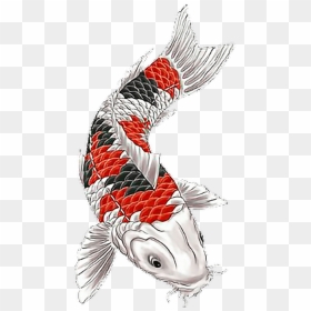 Koi Koitattoo Fish Fishtattoo Fisch Japanesetattoo - Koi Fish Tattoo Design, HD Png Download - koi fish png