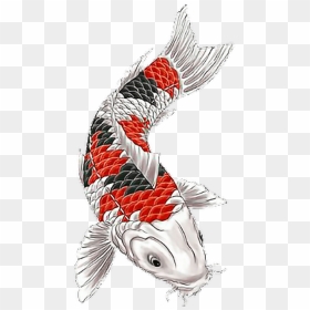 Koi Koitattoo Fish Fishtattoo Fisch Japanesetattoo - Koi Fish Tattoo Design, HD Png Download - koi fish png