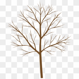 Vector, HD Png Download - tree branches png