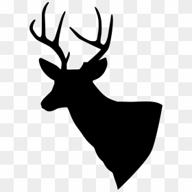 Deer Silhouette, HD Png Download - antlers png