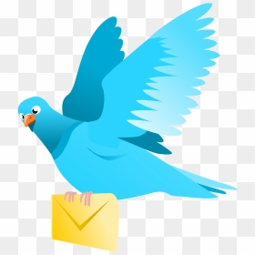 A Flying Pigeon Delivering A Message Clip Arts - Transparent Flying Bird Clipart, HD Png Download - pigeon png