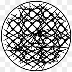 Circle, HD Png Download - crown of thorns png