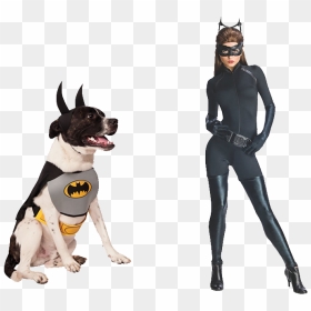 Dark Knight Catwoman Whip, HD Png Download - catwoman png