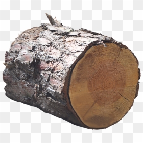 Wood Trunk Png, Transparent Png - tree trunk png