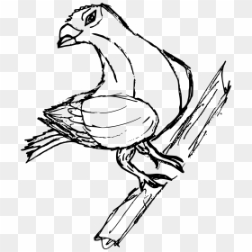 Transparent Pigeon Png - Sketch, Png Download - pigeon png
