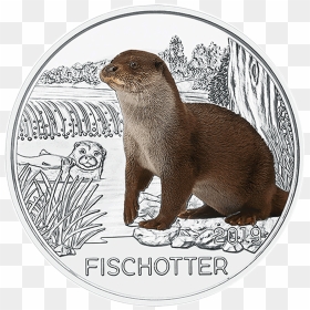 Ioes07190311 1 - 3 Euro Austria Fischotter 2019, HD Png Download - otter png