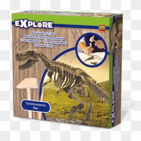 8710341250294, HD Png Download - t rex png