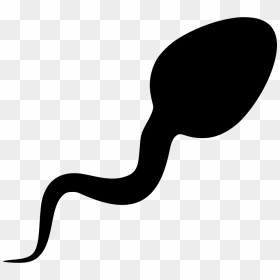 Thumb Image - Sperm Clipart Png, Transparent Png - sperm png