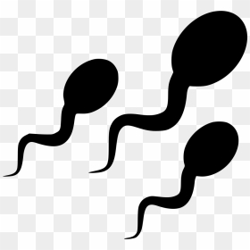 Sperm Svg Png Icon Free Download - Sperm Clipart, Transparent Png - sperm png