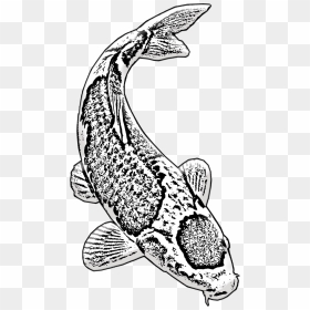 Lukisan Ikan Koi Hitam Putih, HD Png Download - koi fish png