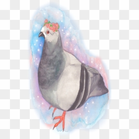 Pigeon, HD Png Download - pigeon png