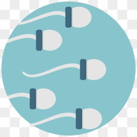 Sperm Icon, HD Png Download - sperm png