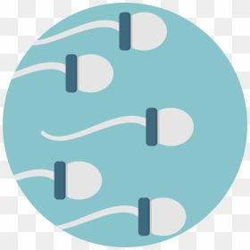 Sperm Icon, HD Png Download - sperm png