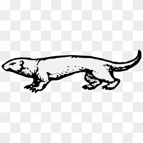 Clip Art, HD Png Download - otter png