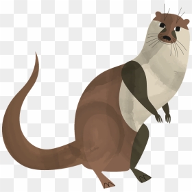 Otter Clipart - North American River Otter, HD Png Download - otter png