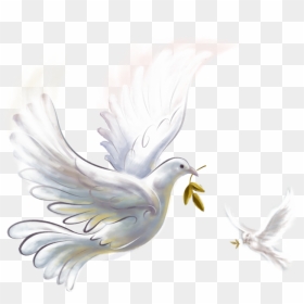 Happy New Year 2020 Images Peace, HD Png Download - pigeon png