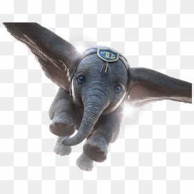 Hd Dumbo Film Transparent Png Image Download - New Dumbo, Png Download - dumbo png