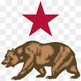 Wildlife,carnivoran,bear - California Flag Bear, HD Png Download - grizzly bear png
