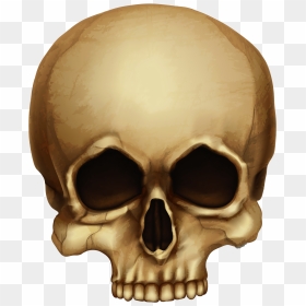 Skull Png - Halloween Skull Png, Transparent Png - transparent skull png