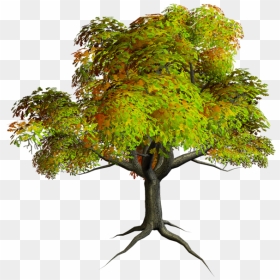 Tree Png - Hd Background For Photoshop, Transparent Png - tree trunk png