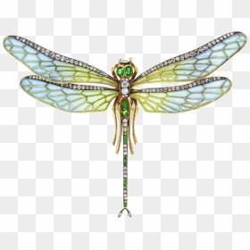 Dragonfly Png Transparent Images - Plique-à-jour, Png Download - vhv