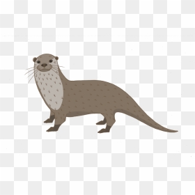North American River Otter , Png Download - Ferret, Transparent Png - otter png
