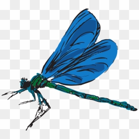 Dragonfly Clipart Gif, HD Png Download - dragonfly png