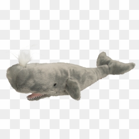 Sperm Whale Stuffed Animal - Whale Stuffed Animal Png, Transparent Png - sperm png