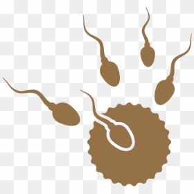 Raw Milk Made By Cow Clipart , Png Download - Vector Sperm Gif Png, Transparent Png - sperm png