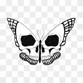 Transparent Skull Png , Png Download - Butterfly Skull, Png Download - transparent skull png