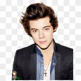 Harry Styles 2013 Brit Awards The X Factor One Direction - Harry Styles Birthday Wish, HD Png Download - harry styles png