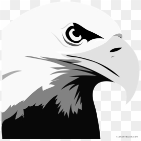 Head Animal Free Black White Images Clipartblack - Bald Eagle Clipart, HD Png Download - eagle head png