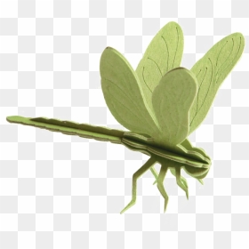 Dragonfly Png Transparent - Dragonfly Flat Pack, Png Download - dragonfly png